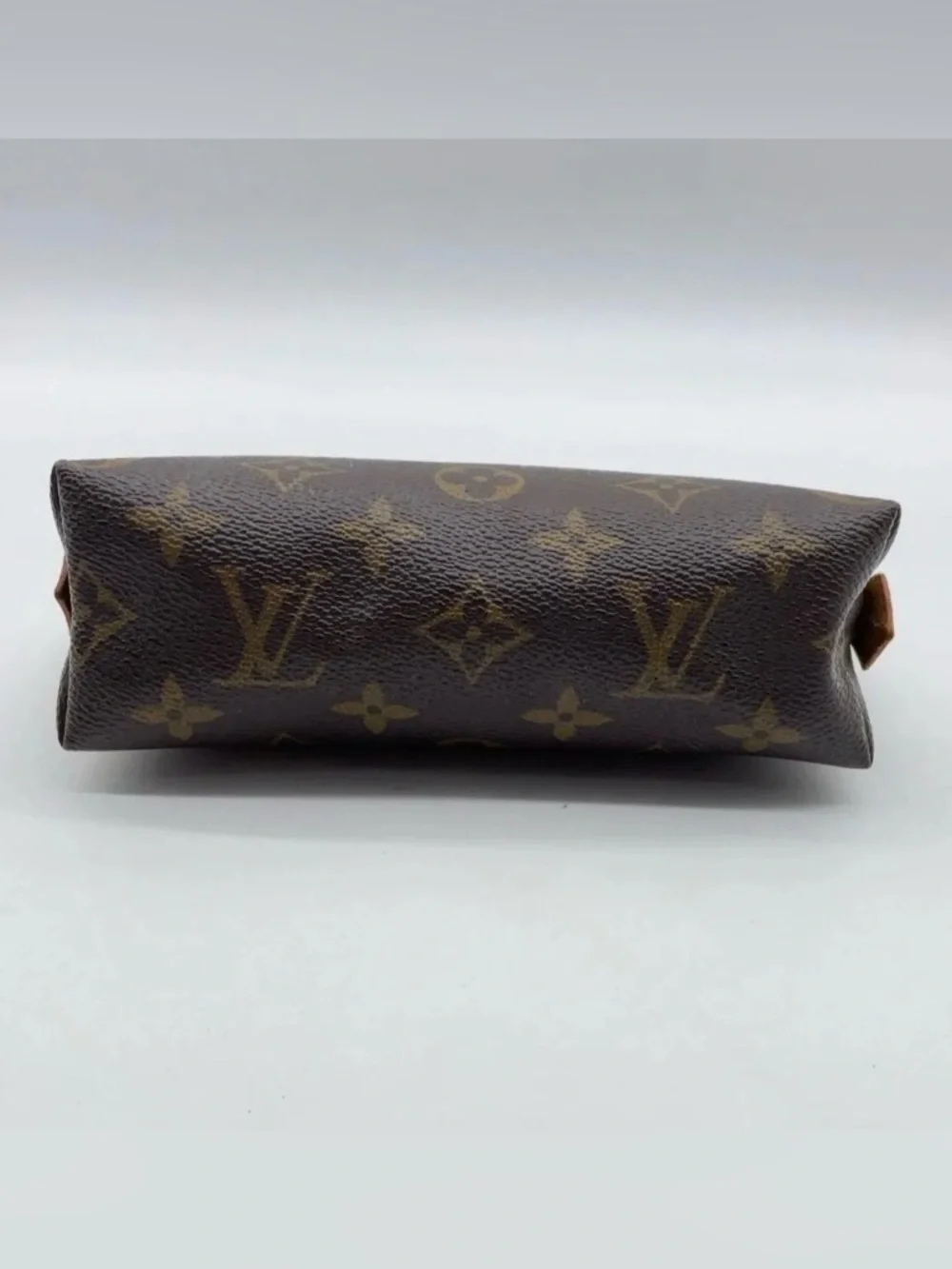 Louis Vuitton brand louis